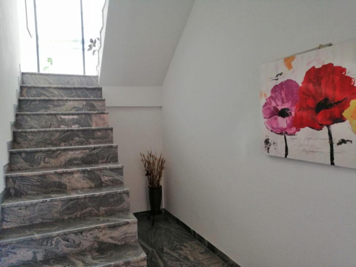 Dubrave Gornje Apartmani Imamovic מראה חיצוני תמונה